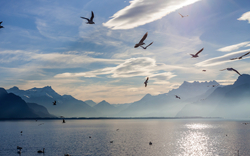 5. Tag: Rhônetal – Genfer See – Montreux – Bern 1