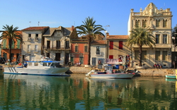 7. Tag: Ausflug Camargue 1